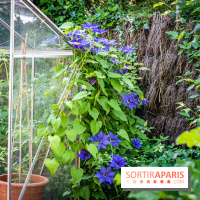 Les Jardins de Sonja au Perray-en-Yvelines