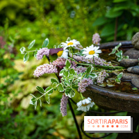 Les Jardins de Sonja au Perray-en-Yvelines