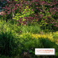 Les Jardins de Sonja au Perray-en-Yvelines
