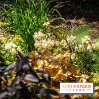 Les Jardins de Sonja au Perray-en-Yvelines
