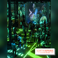 Diablo IV Atelier des Ténèbres Atelier des Lumières - IMG 8857