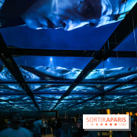 Diablo IV Atelier des Ténèbres Atelier des Lumières - IMG 8905