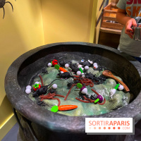 La Maison des Histoires - IMG 3024