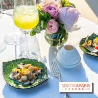 La terrasse en rooftop du Péninsula 2023 - soirée d’inauguration -  A7C5456