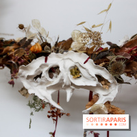 De(s)rives 2023 : nos photos de l'expo insolite au gymnase Huyghens - IMG 0219