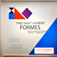 Exposition Formes - Musée Yves Saint Laurent Paris