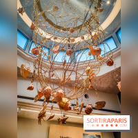 Musée de l'histoire de l'immigration : un musée pédagogique pour voir l'Histoire de France autrement - collections permanentes