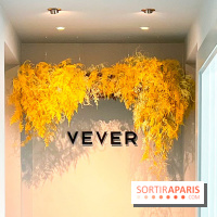 Exposition Vever - (50)