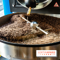 Blondie - coffee shop - torréfacteur  -  A7C5671