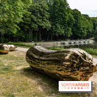 Perchoir Y, restaurant par Guillaume Sanchez et guinguette en forêt -  A7C5849