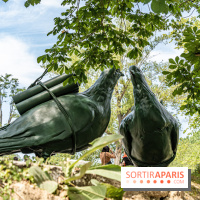 Perchoir Y, restaurant par Guillaume Sanchez et guinguette en forêt -  A7C5882