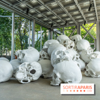 Exposition Ron Mueck à la Fondation Cartier 2023 -  A7C6356