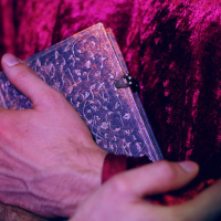 L'expérience immersive Wolf Gang - 43