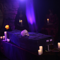 L'expérience immersive Wolf Gang - 66