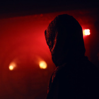 L'expérience immersive Wolf Gang - 67