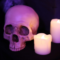 L'expérience immersive Wolf Gang - 8