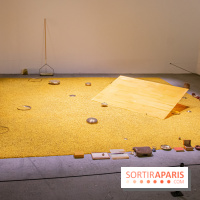 Expositions d'été au Palais de Tokyo Laura Lamiel