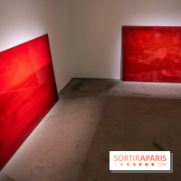 Expositions d'été au Palais de Tokyo Laura Lamiel