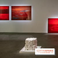 Expositions d'été au Palais de Tokyo Laura Lamiel