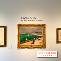 L'exposition des chefs d'œuvres d'Alain Delon à Paris - image00021