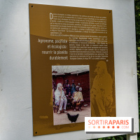 Jardin d'Agronomie Tropicale, le jardin exotique à Paris -  A7C6827