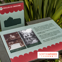 Jardin d'Agronomie Tropicale, le jardin exotique à Paris -  A7C6840