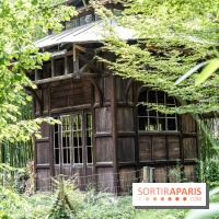 Jardin d'Agronomie Tropicale, le jardin exotique à Paris -  A7C6851