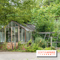 Jardin d'Agronomie Tropicale, le jardin exotique à Paris