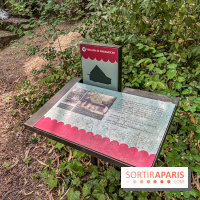 Jardin d'Agronomie Tropicale, le jardin exotique à Paris - IMG 8228