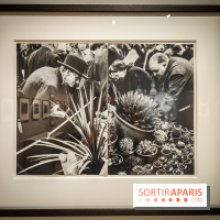 Frank Horvat : Paris, le monde, la mode : l'exposition photo se dévoile au Jeu de Paume - IMG20230619150707