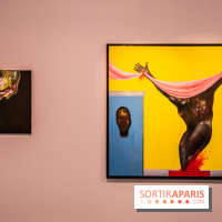 Exposition Pol Taburet Lafayette Anticipations Opera III : Zoo