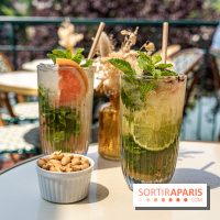 Le Nid, le restaurant-terrasse sur berge à l'Isle-Adam -  cocktails