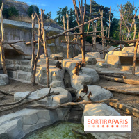 Nocturnes au Parc Zoologique de Paris