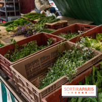 Escapade au Marché, le cours de cuisine du Ritz