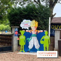 Base de loisirs de Saint-Quentin-en-Yvelines - Ile de loisirs de Trappes - activités - IMG 8637