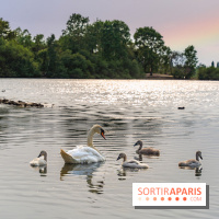 Base de loisirs de Saint-Quentin-en-Yvelines - Ile de loisirs de Trappes - activités - 295A94D4 9EFB 4FD4 9F1C 55C2E2224F4E