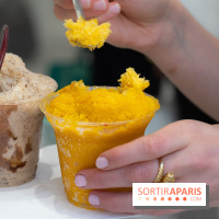 Granités-Neige de Jade Génin, l'Été Sous le Signe du Kakigori Réinventé -  A7C7575