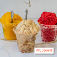 Granités-Neige de Jade Génin, l'Été Sous le Signe du Kakigori Réinventé -  A7C7560