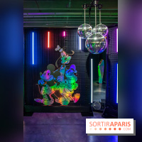 Disney 100 L'Amitié c'est Merveilleux