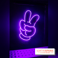 Disney 100 L'Amitié c'est Merveilleux