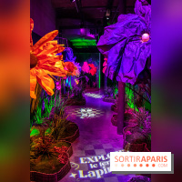 Disney 100 L'Amitié c'est Merveilleux