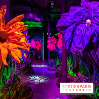 Disney 100 L'Amitié c'est Merveilleux -