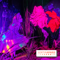 Disney 100 L'Amitié c'est Merveilleux