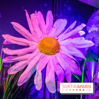 Disney 100 L'Amitié c'est Merveilleux