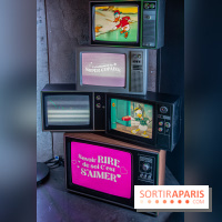 Disney 100 L'Amitié c'est Merveilleux