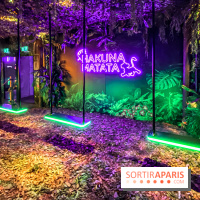 Disney 100 L'Amitié c'est Merveilleux