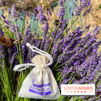 Fête de la Lavande sur le site Seine Aval Achères/Maisons-Laffitte - image00016