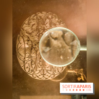 Graver la lumière, l'exposition qui met l'estampe à l'honneur, au musée Marmottan Monet - nos photos