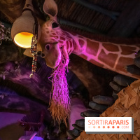Disneyland Secrets visuels la girafe curieuse