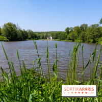 Balade nature dans la forêt de Montmorency, nos photos